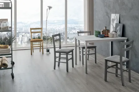 Sedia Salvador con struttura in legno verniciato e seduta in morbida microfibra effetto velluto di Target Point