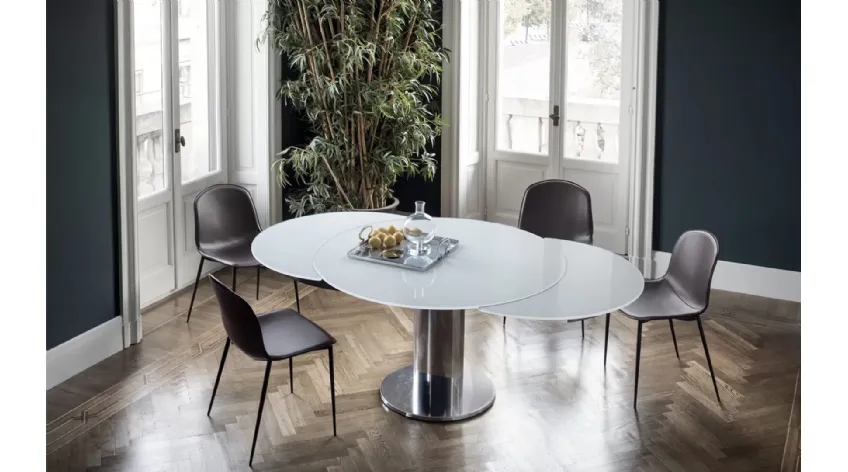 Sedia Seventy rivestita in cuoio con struttura in acciaio laccato di Bontempi